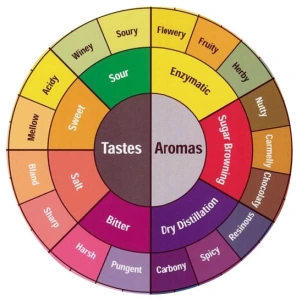 Discover the SCAA Flavour Wheel: A Guide to Decoding Coffee's Rich ...