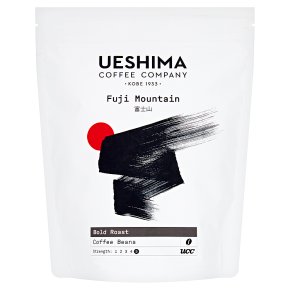 ueshima-fuji-mountain